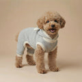 Nuvola - Knitted Dog Sweater (Pre-order)