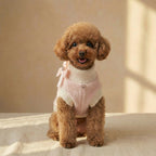 Dolce - Knitted Dog Sweater (Pre-order)