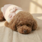 Dolce - Knitted Dog Sweater (Pre-order)