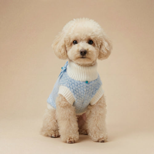 Celeste - Knitted Dog Sweater (Pre-order)