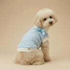 Celeste - Knitted Dog Sweater (Pre-order)