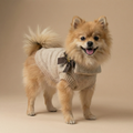 Hazela - Knitted Dog Sweater (Pre-order)