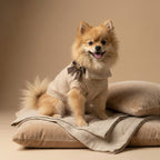 Hazela - Knitted Dog Sweater (Pre-order)