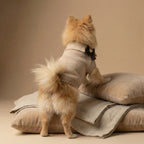 Hazela - Knitted Dog Sweater (Pre-order)