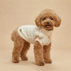 Crema - Knitted Dog Sweater (Pre-order)