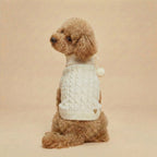 Crema - Knitted Dog Sweater (Pre-order)